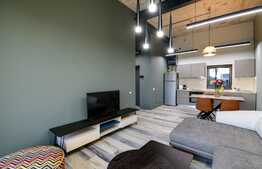 Apartament PREMIUM, design industrial, la cheie, terasa, zona Cetatii