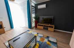 Garsoniera decomandata, 42 mp, lux, zona Centrala