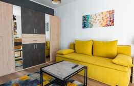 Garsoniera decomandata, 42 mp, lux, zona Centrala