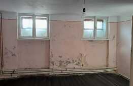 Oportunitate! Apartament cu 3 camere, 107 mp la demisol în zona Iosefin