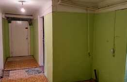 Oportunitate! Apartament cu 3 camere, 107 mp la demisol în zona Iosefin