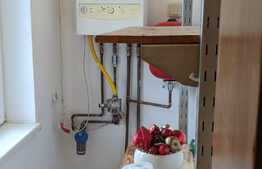 Casa individuala de vanzare, 153 mp utili, Dumbravita lac