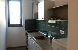 Ocazie, apartament de doua camere, cochet si ultramodern de 55 mp, Complex ISHO