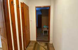 Apartament de doua camere, semidecomandat, 50 mp, zona Dambovita
