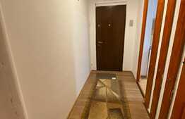 Apartament de doua camere, semidecomandat, 50 mp, zona Dambovita