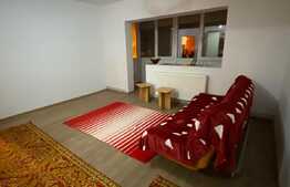 Apartament de doua camere, semidecomandat, 50 mp, zona Dambovita