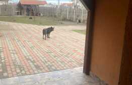 Casa individuala la cheie, 120 mp utili, PARȚA!