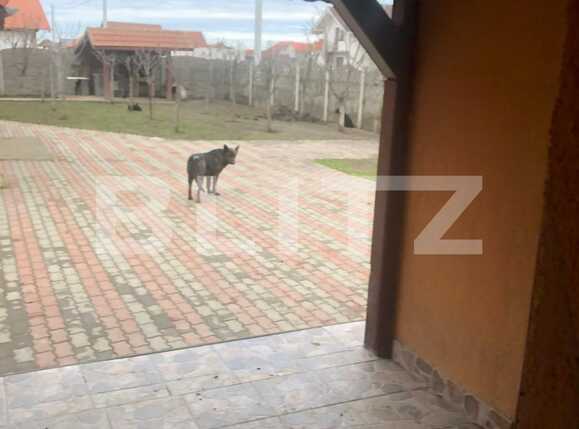 Casa de vânzare 3 camere Parța - 80849CV | BLITZ Timișoara | Poza3