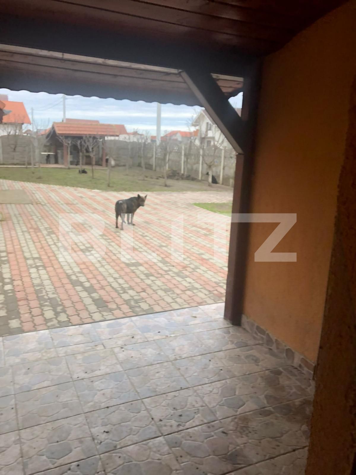 Casa de vânzare 3 camere Parța - 80849CV | BLITZ Timișoara | Poza3