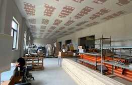 OCAZIE! Spatiu comercial, cladire + curte mare interioara, 450mp + 6000mp, vis a vis de Spitalul Victor Babes