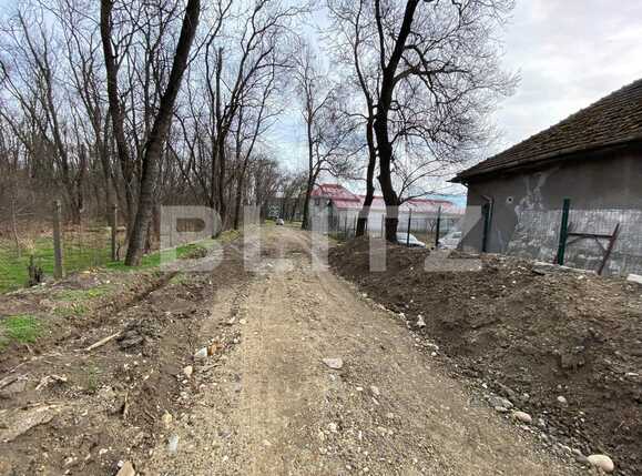 Spațiu comercial de închiriat UMT - 80858SIC | BLITZ Timișoara | Poza3