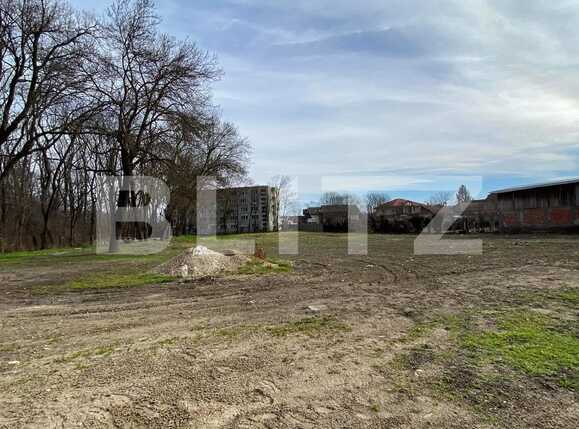 Spațiu comercial de închiriat UMT - 80858SIC | BLITZ Timișoara | Poza2