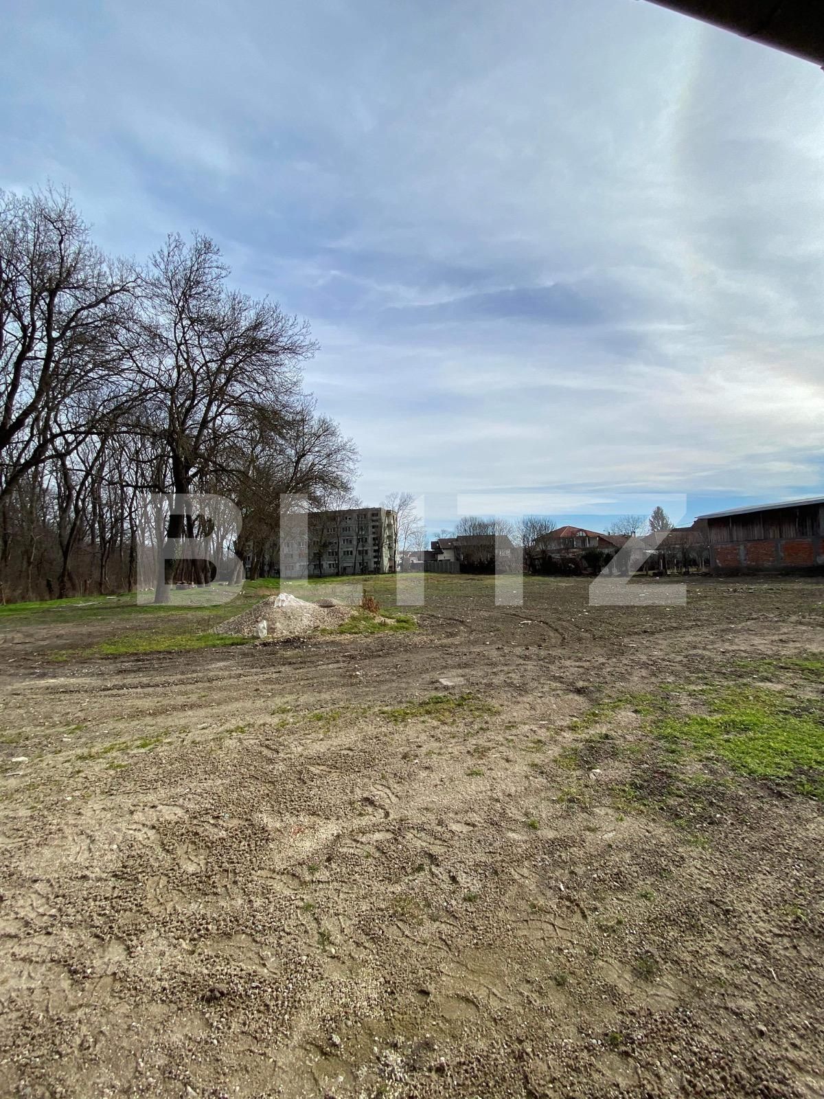 Spațiu comercial de închiriat UMT - 80858SIC | BLITZ Timișoara | Poza2