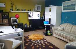 Casa individuala, 10 apartamente, 514 mp utili, Lipovei