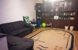 Apartament 2 camere decomandat, 57 mp, zona Shopping City Timișoara