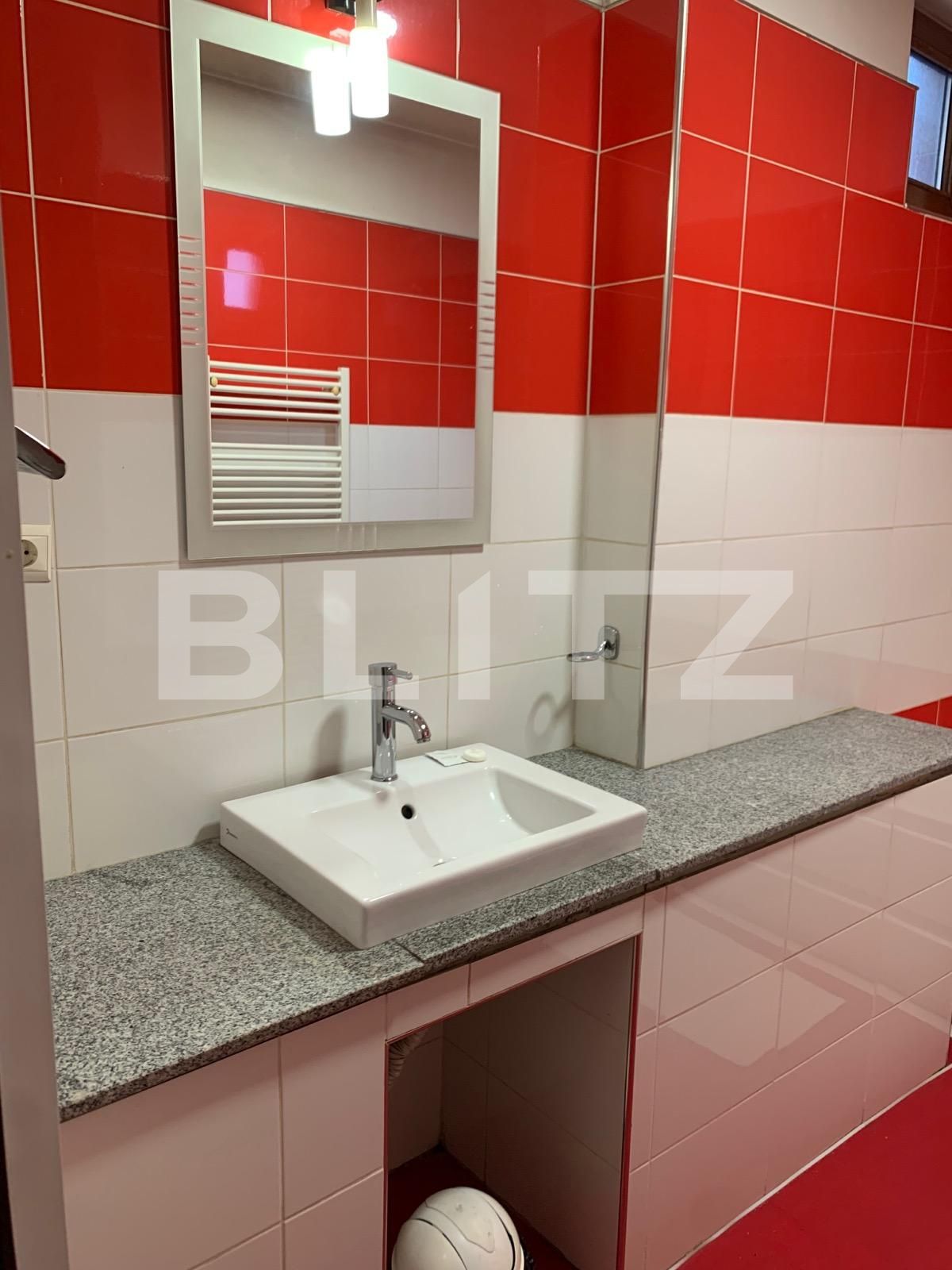 Spațiu comercial de închiriat Lipovei - 80967SIC | BLITZ Timișoara | Poza8