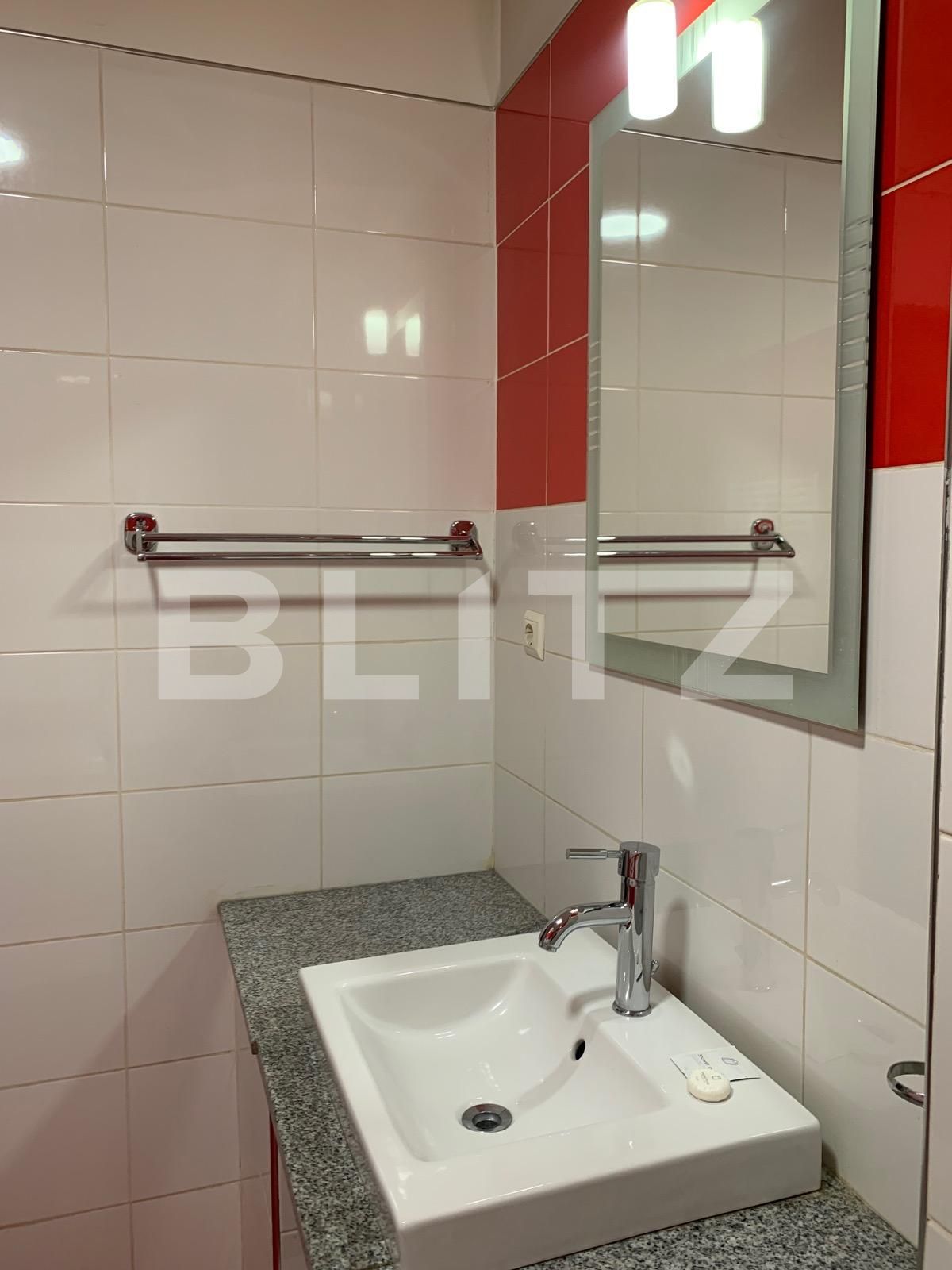 Spațiu comercial de închiriat Lipovei - 80967SIC | BLITZ Timișoara | Poza9
