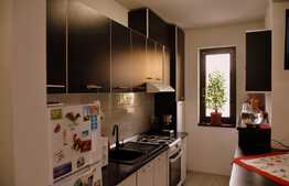 Apartament 2 camere cu dormitor luminos, 41mp în Giroc în zona Hotel IQ