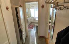 Apartament de doua camere, 56 mp, spatios, zona Garii de Nord