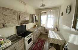 Apartament de doua camere, 56 mp, spatios, zona Garii de Nord