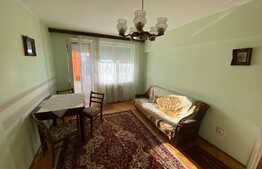 Apartament de doua camere, 56 mp, spatios, zona Garii de Nord