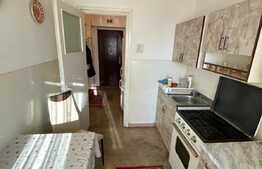 Apartament de doua camere, 56 mp, spatios, zona Garii de Nord