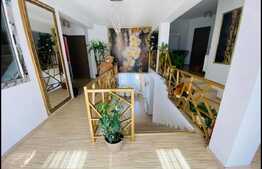 Spatiu comercial, destinatie salon, 220 mp, Dumbravita