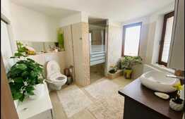 Spatiu comercial, destinatie salon, 220 mp, Dumbravita