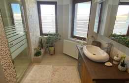 Spatiu comercial, destinatie salon, 220 mp, Dumbravita