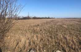 Teren extravilan de 10250 mp, Giroc!