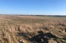 Teren extravilan de 10250 mp, Giroc!