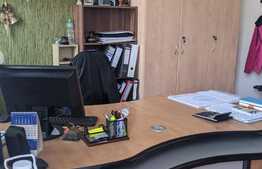 Oportunitate! Casa 3 apartamente, 160 mp utili, Zona Lunei