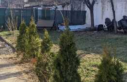 Oportunitate! Casa 3 apartamente, 160 mp utili, Zona Lunei