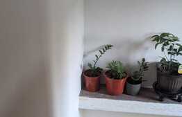 Casa individuala, 110 mp utili, 416 mp teren, Dumbravita central