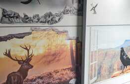 Casa individuala, 110 mp utili, 416 mp teren, Dumbravita central