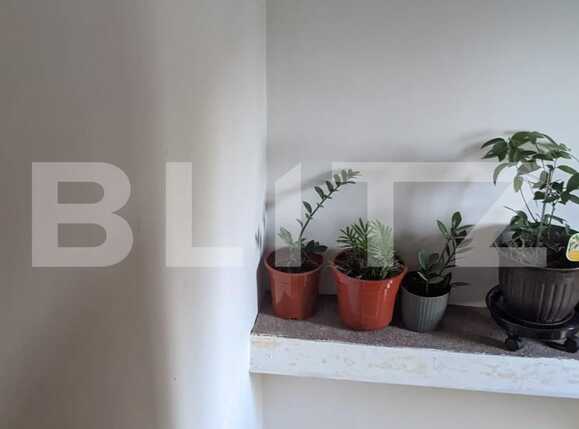 Casa de vânzare 3 camere Dumbravita - 81216CV | BLITZ Timișoara | Poza4