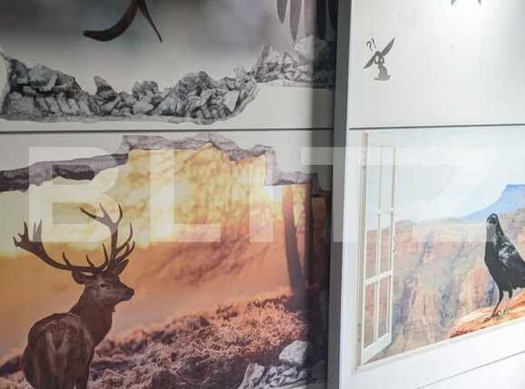 Casa de vânzare 3 camere Dumbravita - 81216CV | BLITZ Timișoara | Poza3