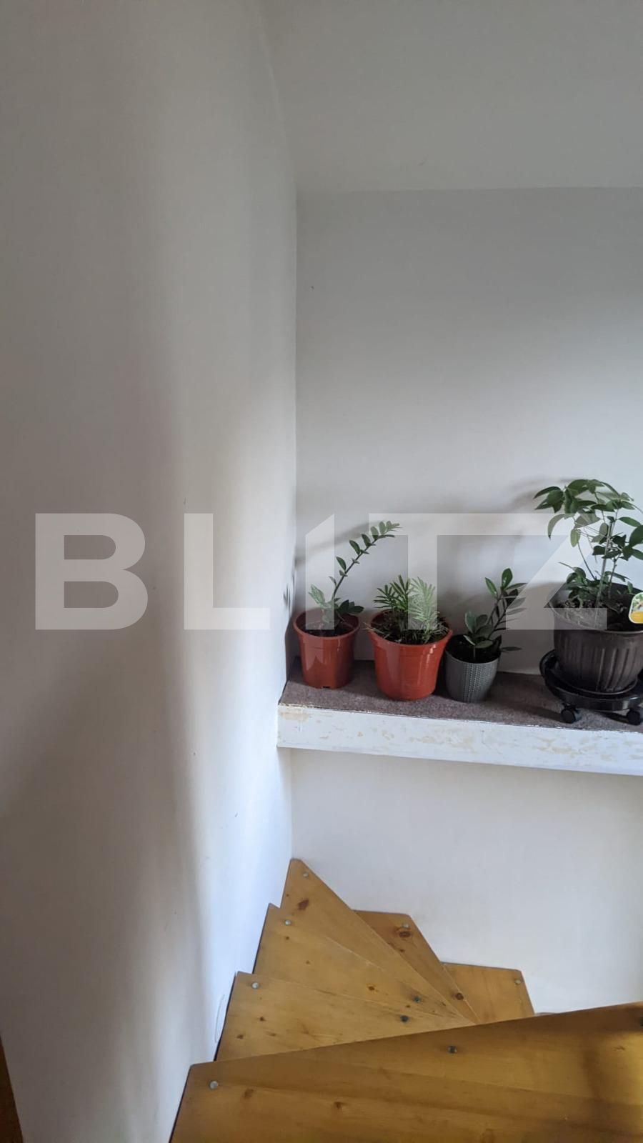 Casa de vânzare 3 camere Dumbravita - 81216CV | BLITZ Timișoara | Poza4