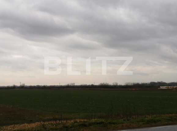Teren de vânzare Exterior Est - 81248TV | BLITZ Timișoara | Poza2