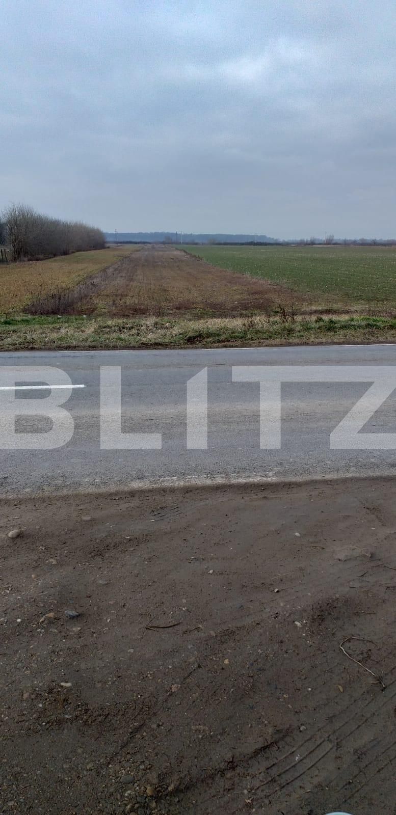 Teren de vânzare Exterior Est - 81248TV | BLITZ Timișoara | Poza1