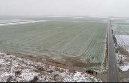 Oportunitate! Teren extravilan, 50000 mp, Parta!