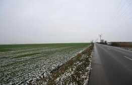 Oportunitate! Teren extravilan, 50000 mp, Parta!