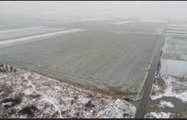 Oportunitate! Teren extravilan, 50000 mp, Parta!