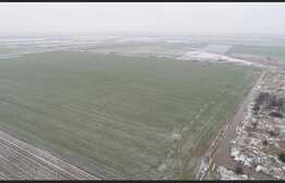 Oportunitate! Teren extravilan, 50000 mp, Parta!