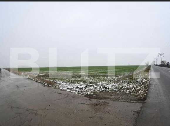 Teren de vânzare Exterior Sud - 81302TV | BLITZ Timișoara | Poza2