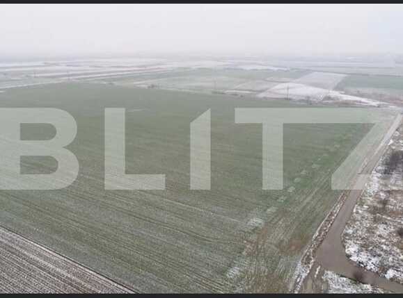 Teren de vânzare Exterior Sud - 81302TV | BLITZ Timișoara | Poza7