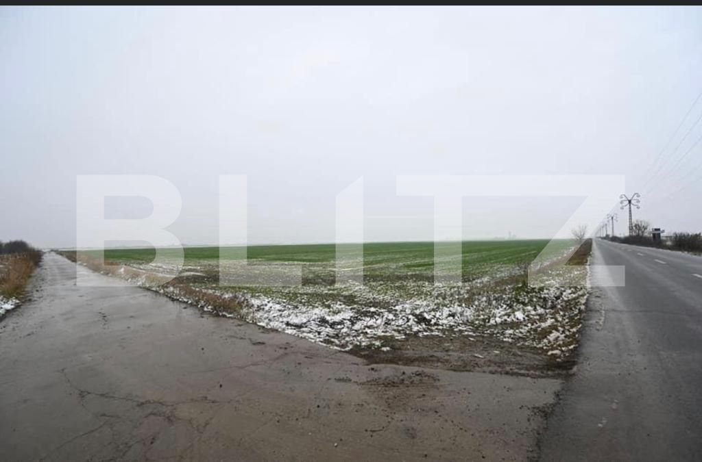 Teren de vânzare Exterior Sud - 81302TV | BLITZ Timișoara | Poza2