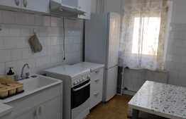 Apartament de 2 camere, 51 mp, modern, zona Aradului 