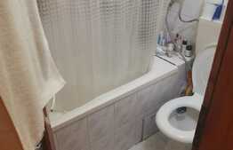 Garsoniera  de 21 mp, mobilata si utilata, zona Buziasului