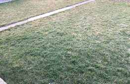 Ocazie, casa individuala mare, de vanzare in Ghiroda, 200 mp utili!